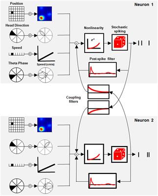 A Generalized Linear Model of a Navigation Network